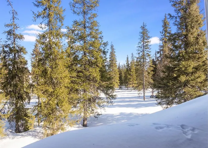 Nelikko A By Interhome * Ruka